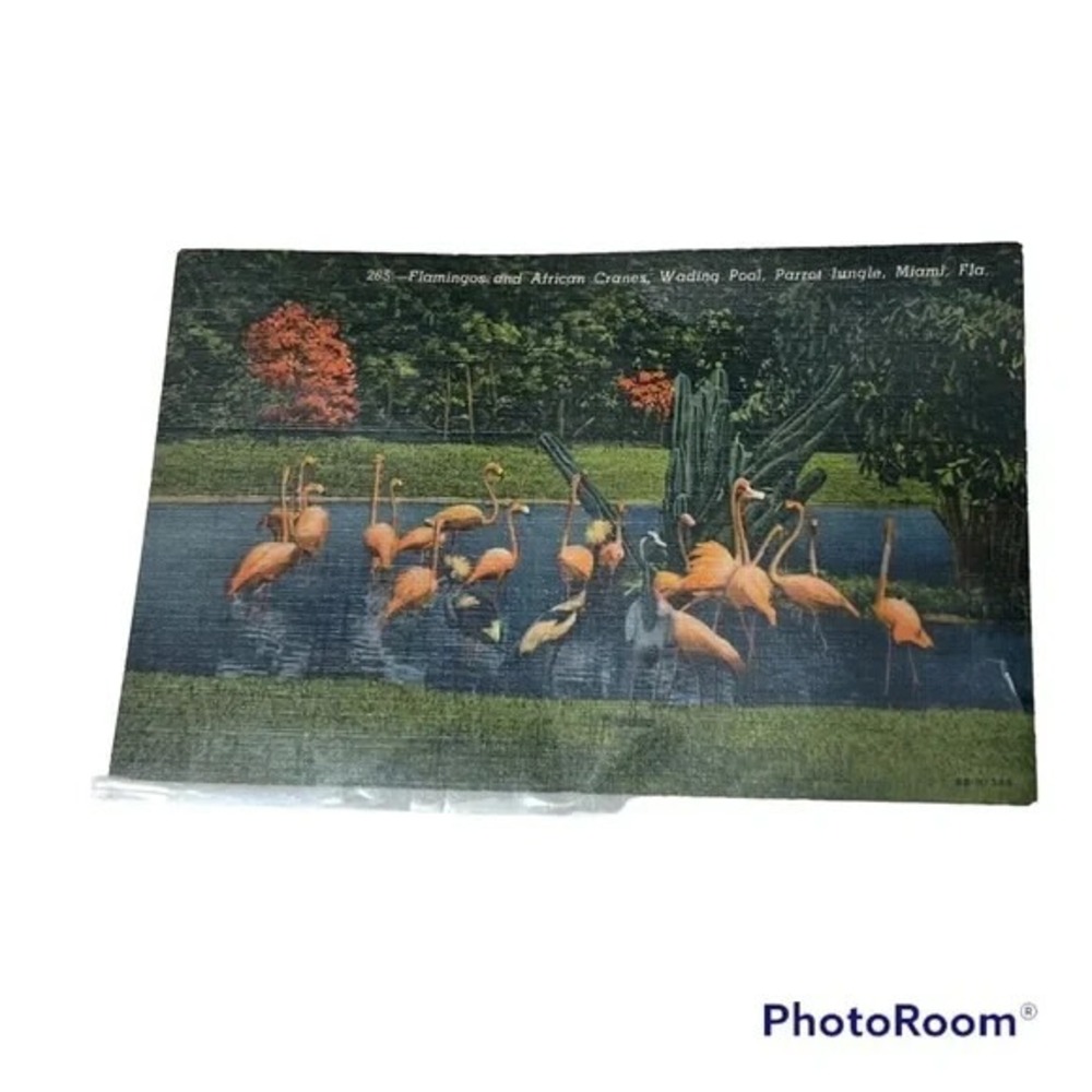 Postcard Parrot Jungle Miami Florida Flamingos and African Cranes A14